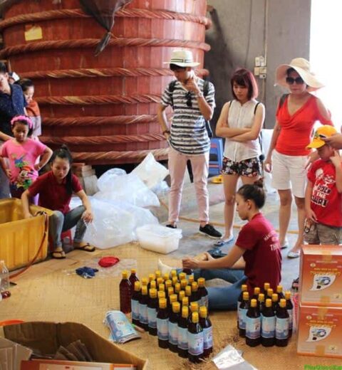 Hướng dẫn di chuyển khi du lịch Phú Quốc