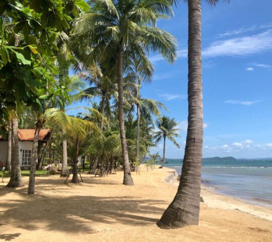 Peppercorn Beach Resort Peppercorn Beach Resort